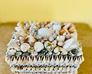 Shell encrusted box