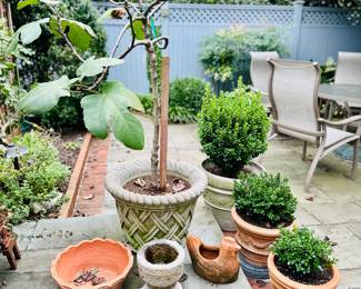 Outdoor pottery and decor