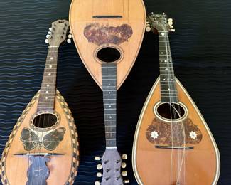 Mandolin's