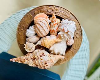 Exotic shells