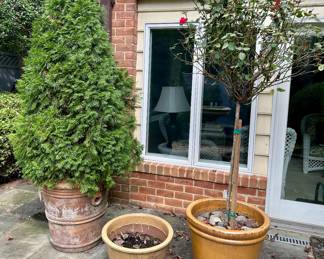 Outdoor potted plants