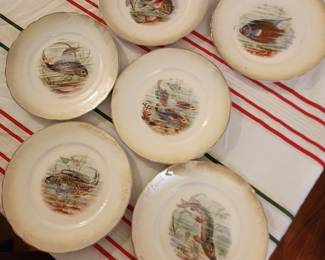 Set of Fish plates