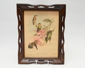 Vintage Bird Prints