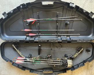 Bow and Arrows