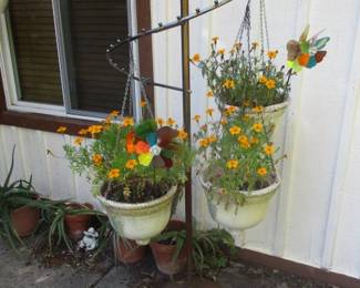 Outdoor Plants