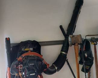 Echo Backpack Leaf Blower