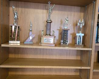 Sauder-style Bookshelf & Trophies