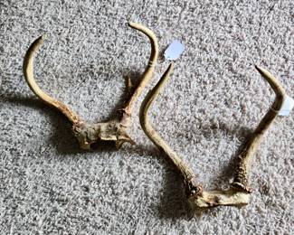 Two Sets of Deer Antlers