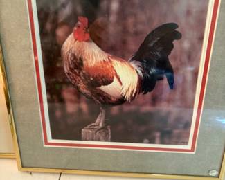 Framed photograph