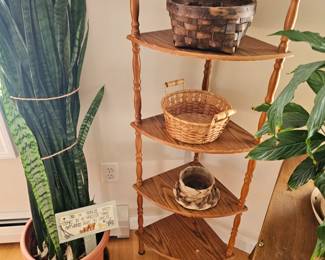 Corner Plant Stand, Baskets, House Plants