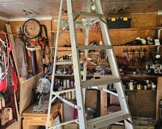 Aluminum Ladder