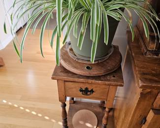 Wooden Side Table with Drawer, Potted House Plant