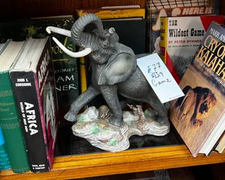 African Safari Books