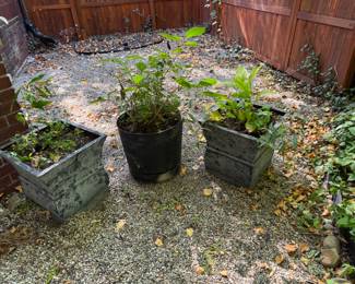 Planters