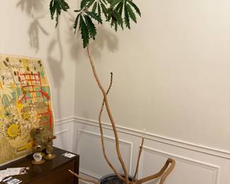 Plants