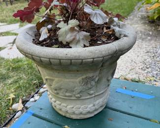 Cement Planters