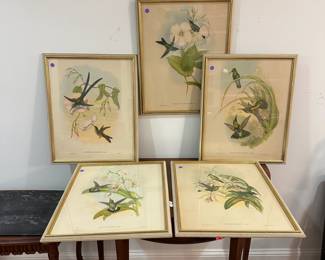 M41 - $275. Set of 5 Hummingbird Prints. (Thalurania Refulgens, Petasophora Iolata, Heliodoxa Jacula, Hylonnympha Macrocerca, Glaucis Fraseri) J. Gould & H C Richter, del et lith. Hullmandel & Walton, Imp. Each frame measures 17.5" wide x 22" tall. 