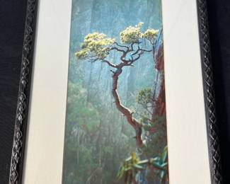 M123 - $25. "Lo" signed Print. Measures 10.75" x 19"