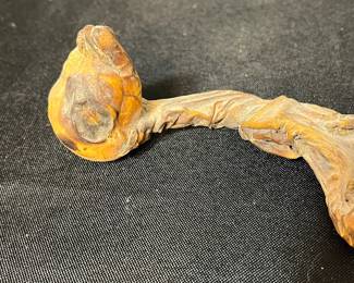 K83 - $60. Small Mummified Llama Fetus. 