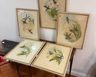 M41 - $275. Set of 5 Hummingbird Prints. (Thalurania Refulgens, Petasophora Iolata, Heliodoxa Jacula, Hylonnympha Macrocerca, Glaucis Fraseri) J. Gould & H C Richter, del et lith. Hullmandel & Walton, Imp. Each frame measures 17.5" wide x 22" tall. 