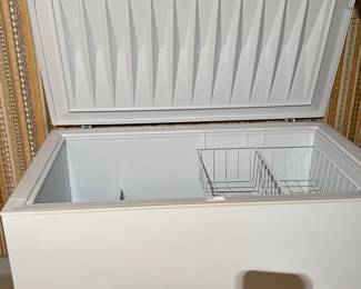 Chest Freezer-EARLY SALE ALLOWED
