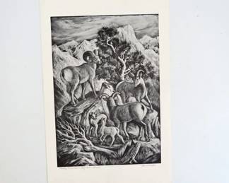 Ila McAfee "Rocky Mountain Big Horn Sheep" 