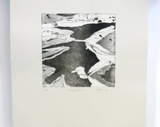Barbara Zaring "Morphous"