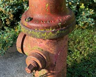 OMAHA Yard Art Fire Hydrant