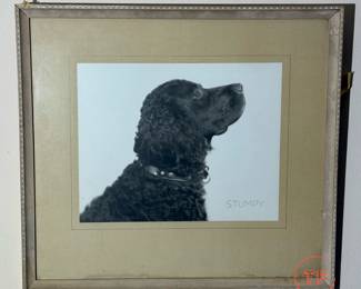 Vintage Framed Dog Photo