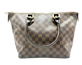 Louis Vuitton Damier Ebene Saleya PM Tote
