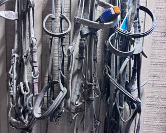 Variety of Tack-Halters