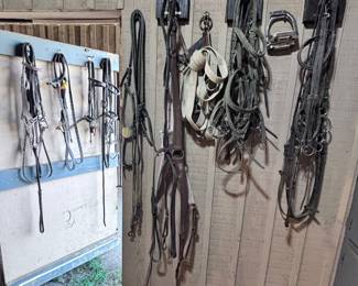 Horse Tack Variety