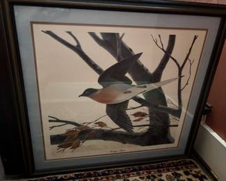 Vintage Audubon Print - Carrier Pigeon - 