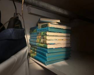CONTENTS OF BEDROOM CLOSET