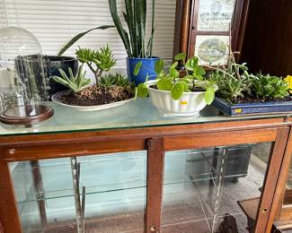 Succulents, Plants, Antique Glass Display Cabinet