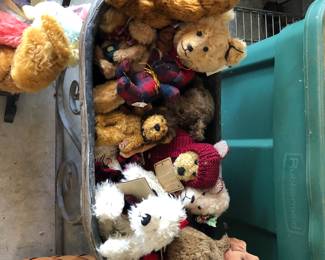 bears