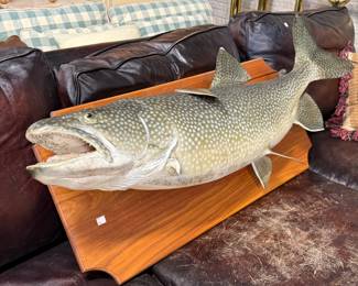 Fish