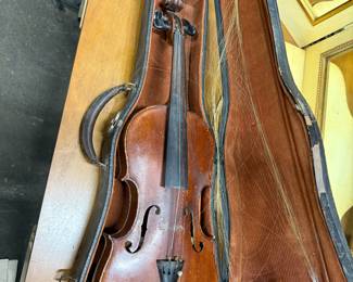 Violin