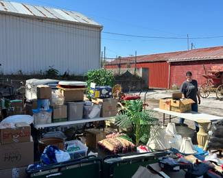 Odds and ends.  Coleman camping cots.  Faux plants.  Pillows.