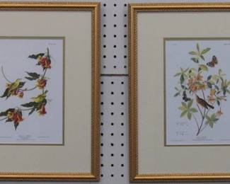 9110 - SET OF 2 ANTIQUE BIRDS BY JOHN J AUDUBON 14.5 X 17.5
