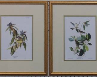 9111 - SET OF 2 ANTIQUE BIRDS BY JOHN J AUDUBON 14.5 X 17.5

