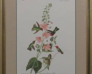 9057 - COLUMBIA HUMMINGBIRD GICLEE BY JOHN J AUDUBON 22 X 27.5
