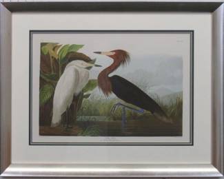 9004 - PURPLE HERON BY JOHN J AUDUBON 29 X 23
