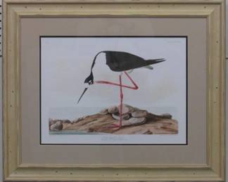 9105 - LONG LEGGED AVOCET BY JOHN J AUDUBON 29.5 X 24.5
