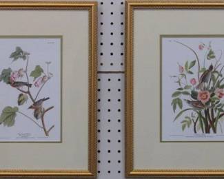 9109 - SET OF 2 ANTIQUE BIRDS BY JOHN J AUDUBON 14.5 X 17.5
