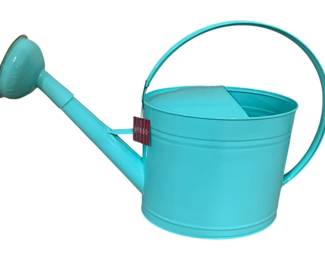 2445 - Metal Teal Watering Can 17 x 22
