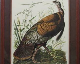 9001 - WILD TURKEY GICLEE BY JOHN J AUDUBON 30 X 36
