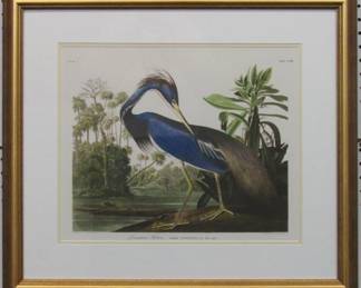 9100 - LOUISIANNA HERON BY JOHN J AUDUBON 25.5 X 22
