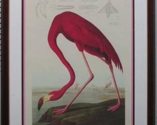 9003 - AMERICAN FLAMINGO BY JOHN J AUDUBON 27 X 35
