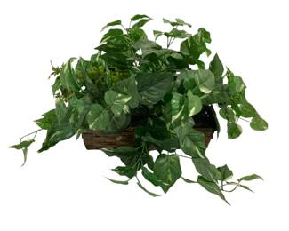 265 - Faux Plant 24 x 16
